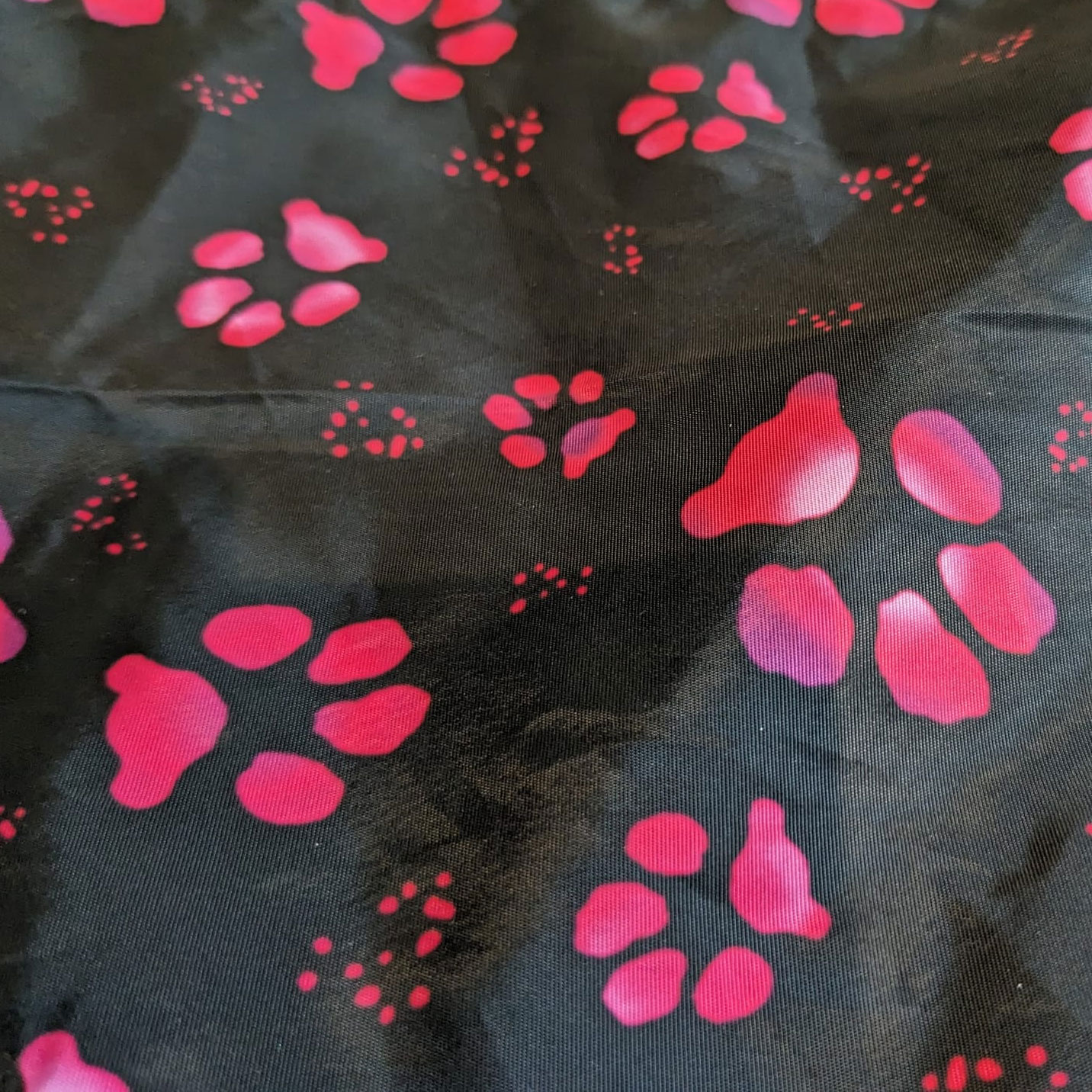 Pink Ombre Paws - Image 2